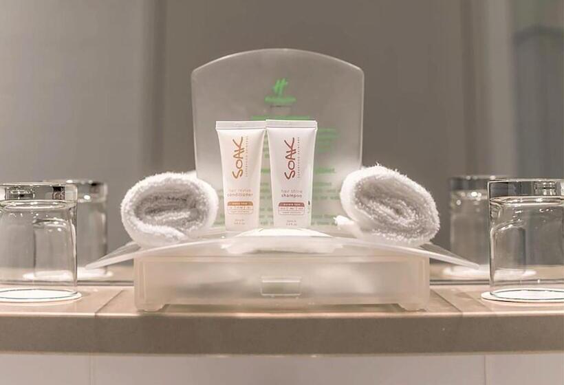 اتاق استاندارد با تخت بزرگ, Holiday Inn Dhaka City Centre By Ihg