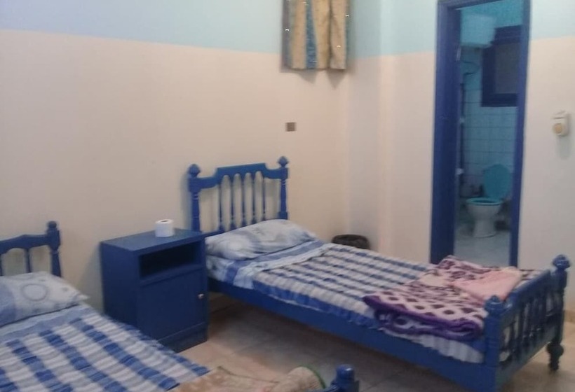 اتاق استاندارد, Oasis