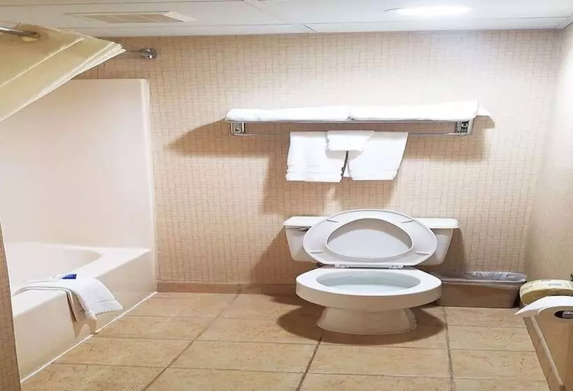２ダブルベッドのスタンダードルーム, Best Western Hazlet Inn