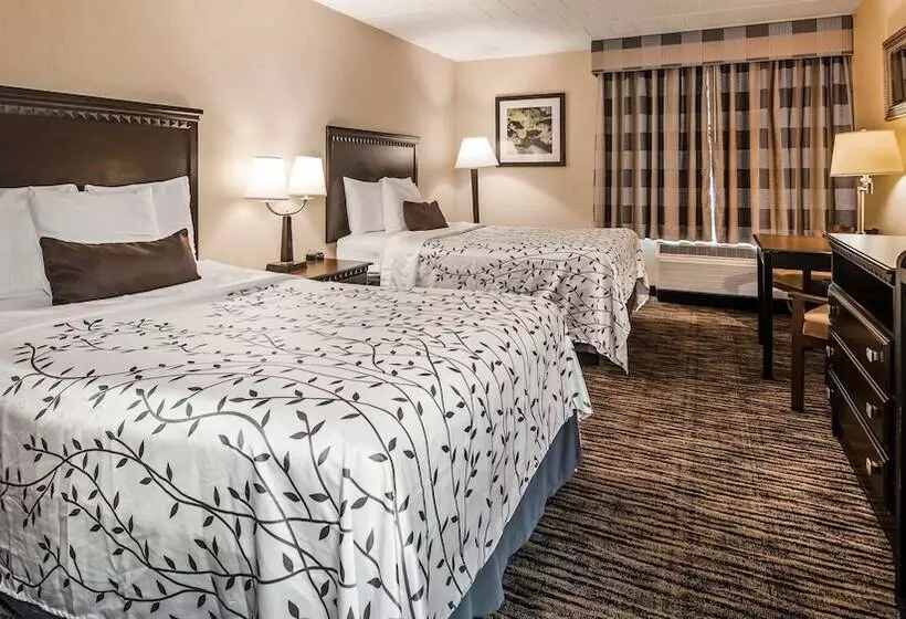 ２ダブルベッドのスタンダードルーム, Best Western Hazlet Inn