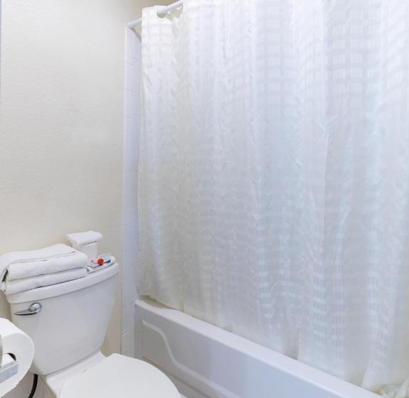 带大床的标准间, OYO Hotel San Antonio Lackland near Seaworld