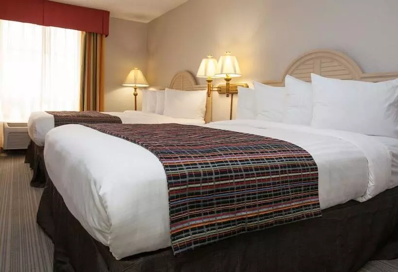 اتاق استاندارد با 2 تخت دوبل, The Palms Inn & Suites Miami, Kendall, Fl