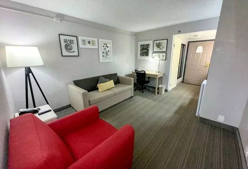 اتاق استاندارد با 2 تخت دوبل, The Palms Inn & Suites Miami, Kendall, Fl