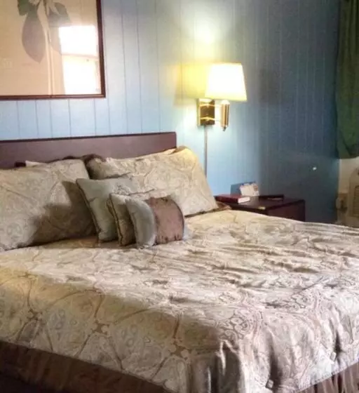 Standard-huone King-vuode, Village Inn Salina