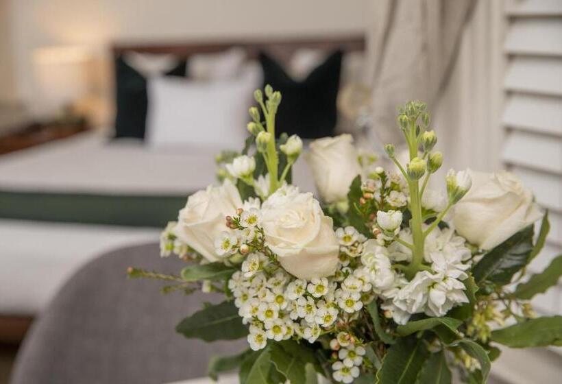 带大床的高级房间, Washington Square Inn