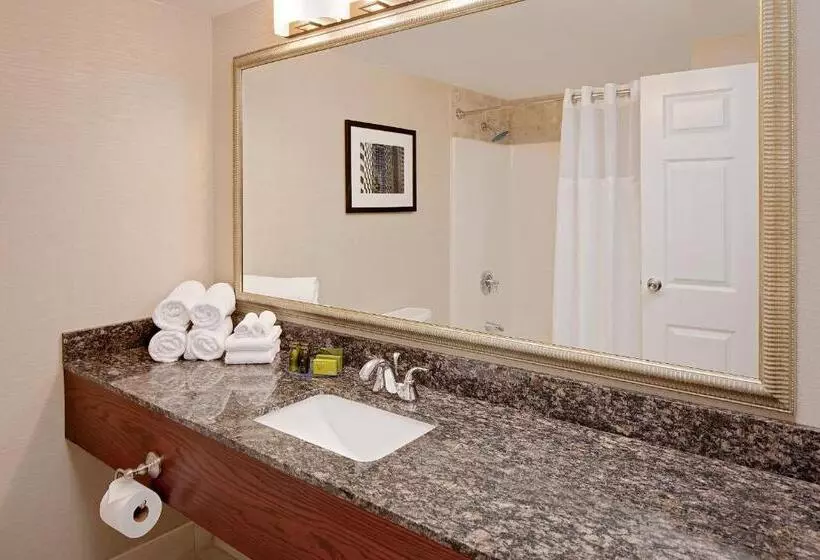 キングサイズベッドのスタンダードルーム, Westford Regency Inn & Conference Center