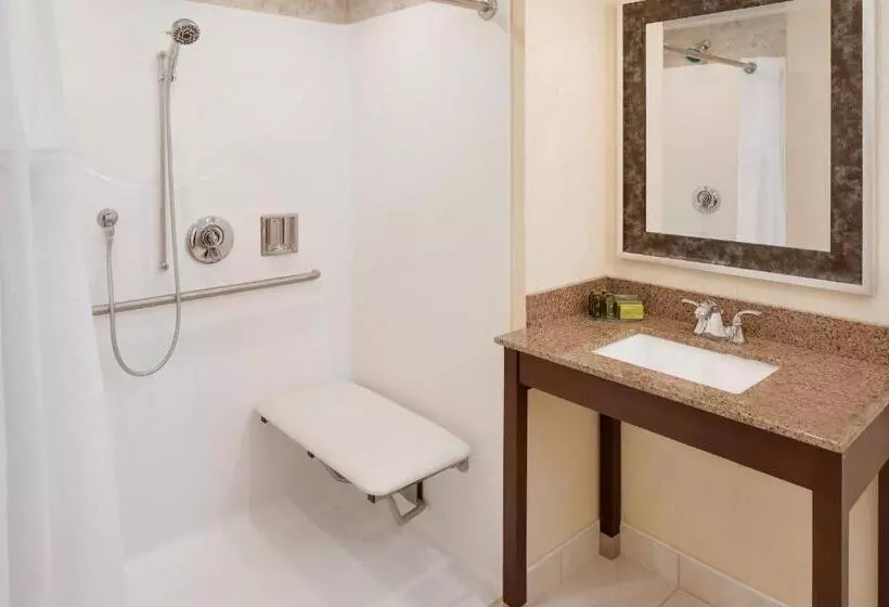 身障者適用スタンダードルーム, Westford Regency Inn & Conference Center