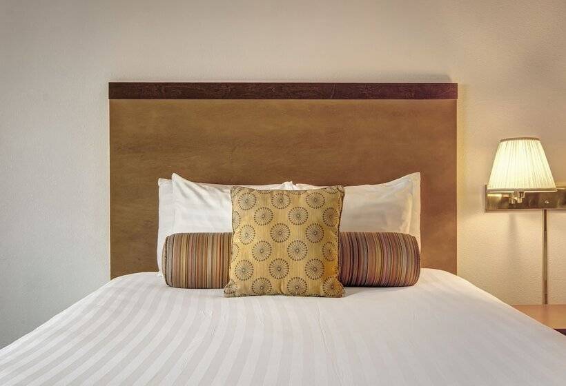 Номер Стандарт, The Whaler Newport