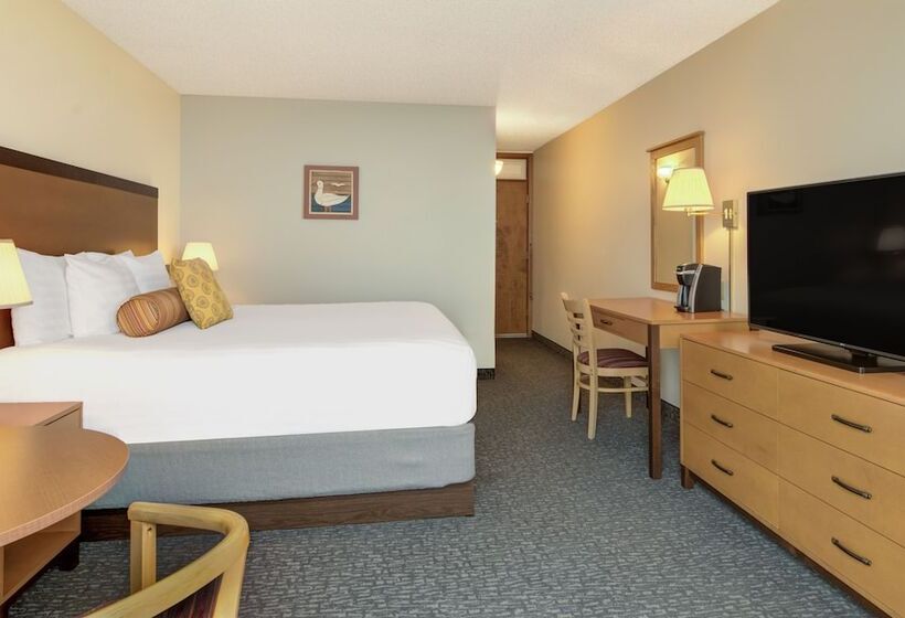 Номер Стандарт, The Whaler Newport