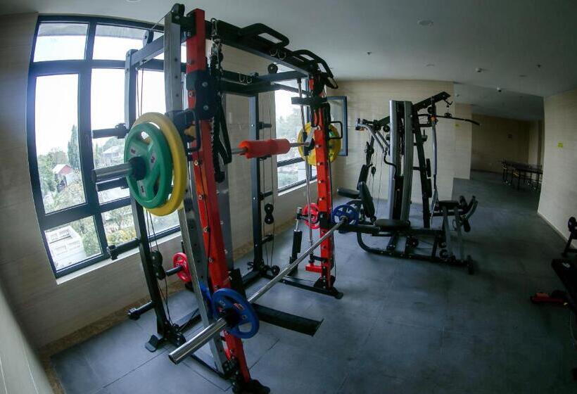 اتاق استاندارد, Lark