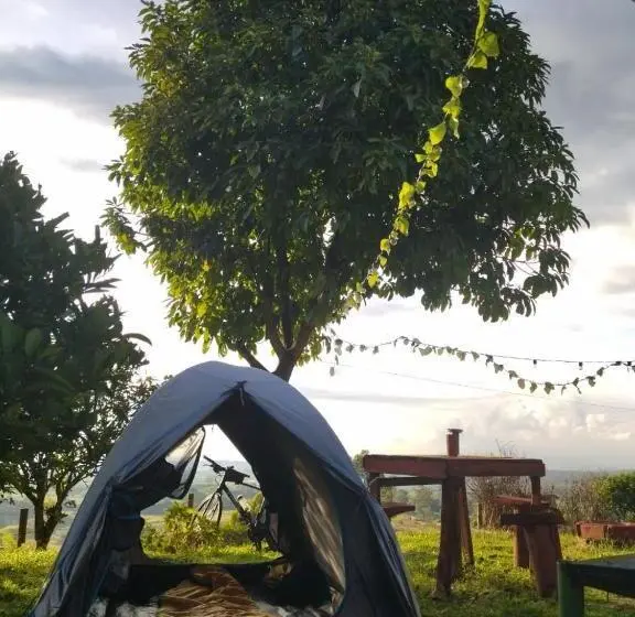 Standard Tent, H Shaddai