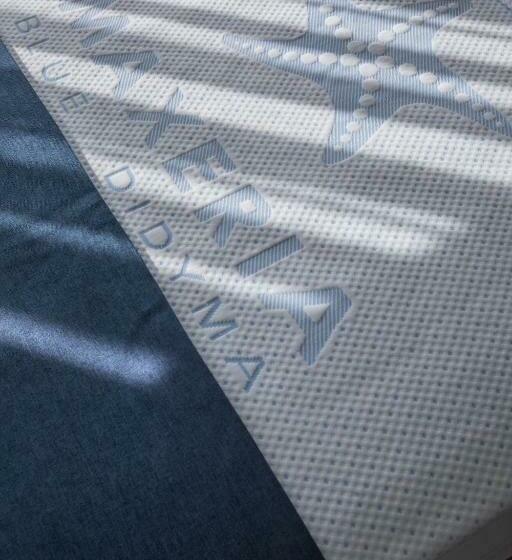 Трехместный Номер Стандарт Interior, Maxeria Blue Didyma