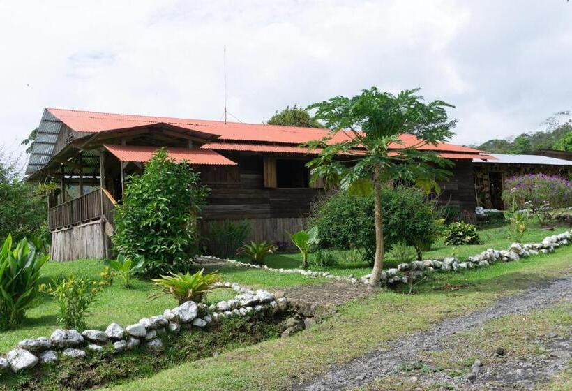 غرفة قياسية مزوَّدة بشُرفة, Oski Lodge, Rain Forest Rincón De La Vieja