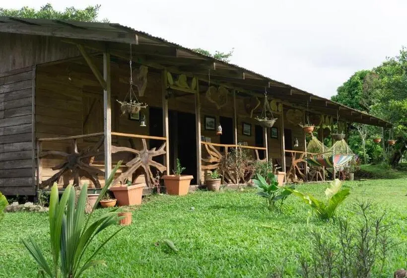 اتاق استاندارد چهار تخته, Oski Lodge, Rain Forest Rincón De La Vieja