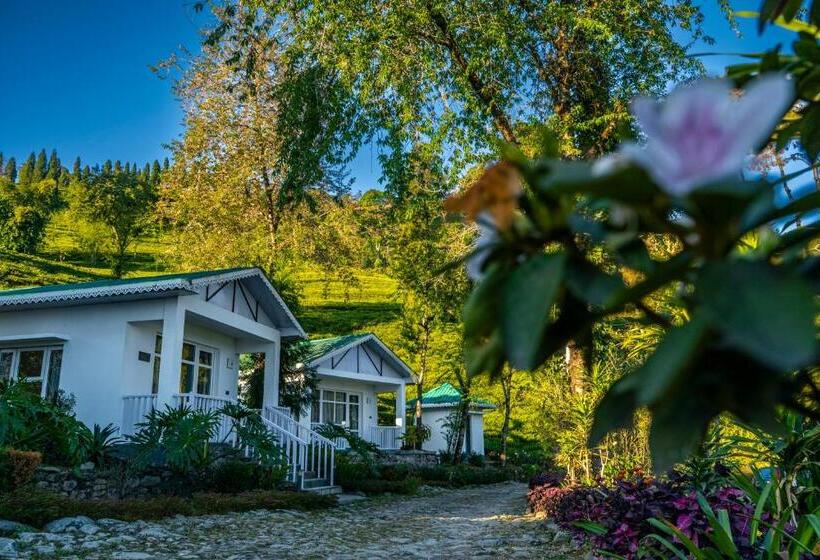 1间卧室的房子, The Temi Bungalow South Sikkim