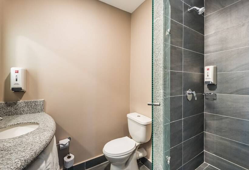 Номер Стандарт, Ibis Chia