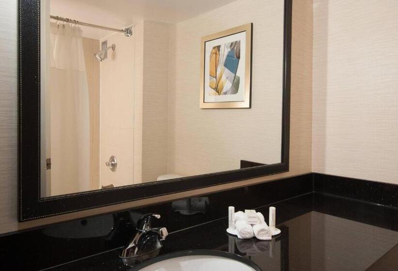 キングサイズベッドのスタンダードルーム, Fairfield Inn And Suites Atlanta Airport South/sullivan Road