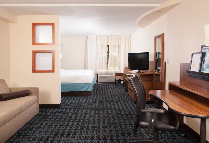 스위트, Fairfield Inn And Suites Atlanta Airport South/sullivan Road