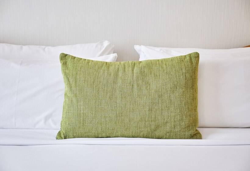 Номер Стандарт, Flor Parks