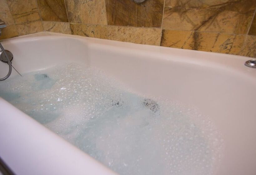 Номер Superior Вид на Город, Flor Parks