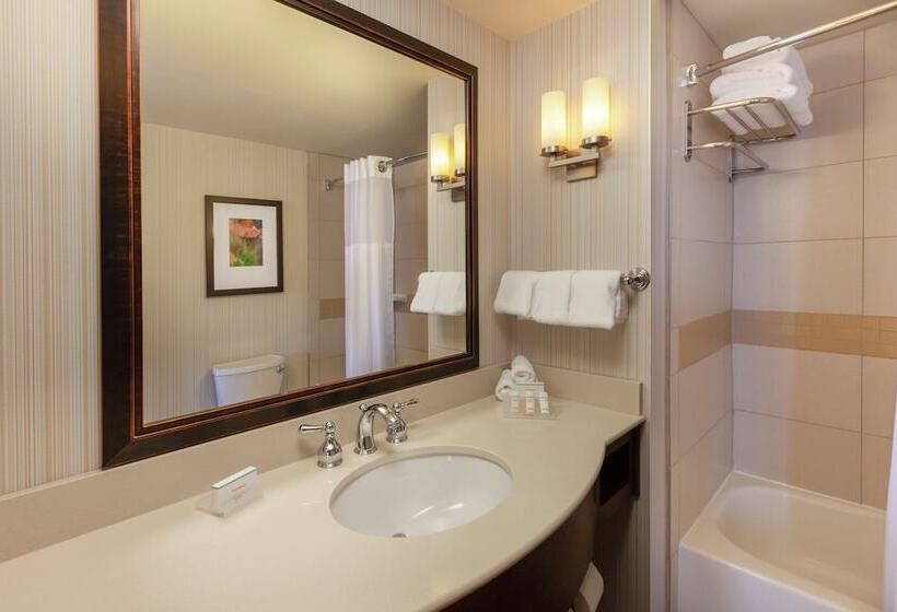 חדר סטנדרט שתי מיטות זוגיות, Hilton Garden Inn Pittsburgh University Place