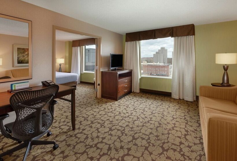 Люкс, Hilton Garden Inn Pittsburgh University Place