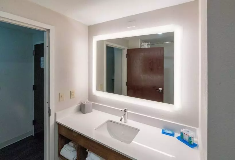 Sviitti, Holiday Inn Express Hotel & Suites Nashville Brentwood 65s