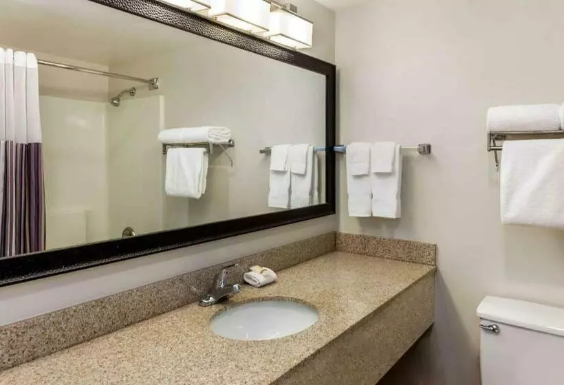 キングサイズベッドのエクゼクティブルーム, La Quinta By Wyndham Milwaukee Bayshore Area