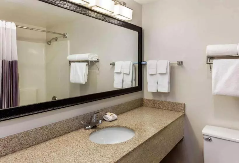 身障者適用キングサイズベッドルーム, La Quinta By Wyndham Milwaukee Bayshore Area