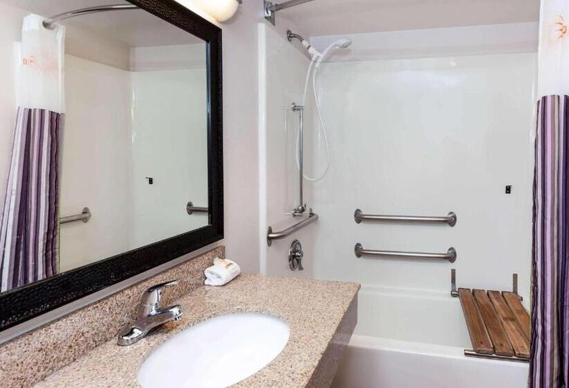 غرفة قياسية سرير كينج لذوى الإحتياجات الخاصة, La Quinta By Wyndham Milwaukee Bayshore Area