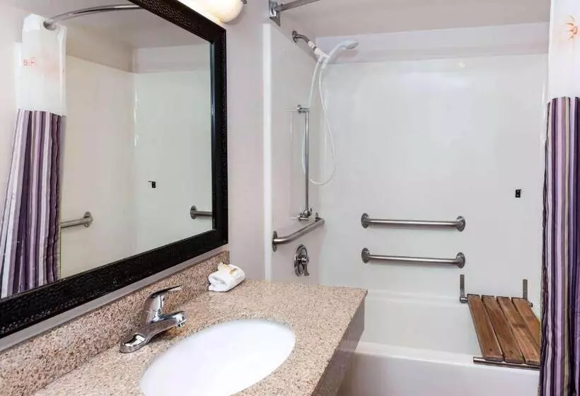 身障者適用キングサイズベッドルーム, La Quinta By Wyndham Milwaukee Bayshore Area