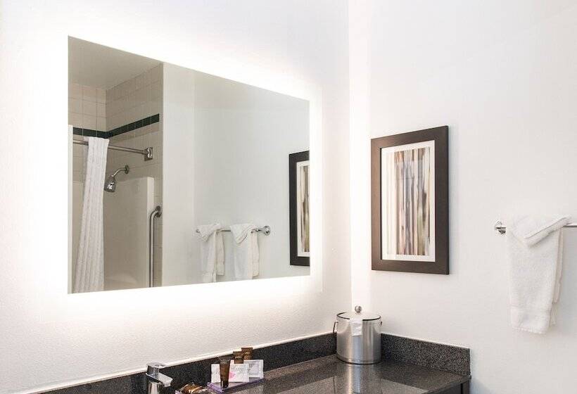 غرفه قياسيه سريرين مزدوجين, Wingate By Wyndham And Williamson Conference Center