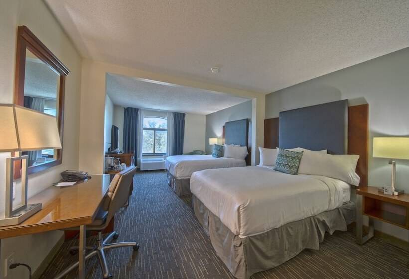 غرفه قياسيه سريرين مزدوجين, Wingate By Wyndham And Williamson Conference Center