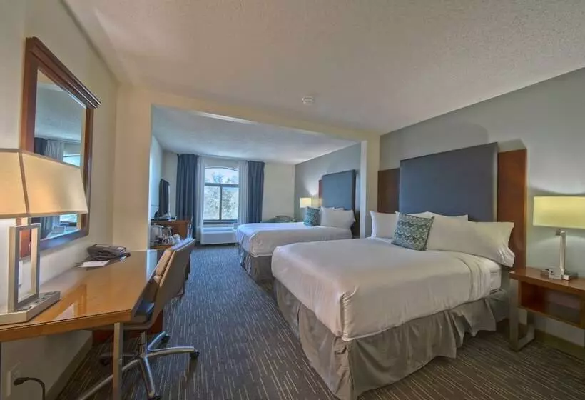 ２ダブルベッドのスタンダードルーム, Wingate By Wyndham And Williamson Conference Center