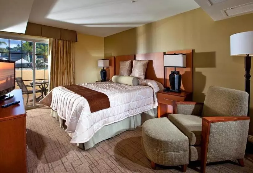 سوییت, Winners Circle Resort
