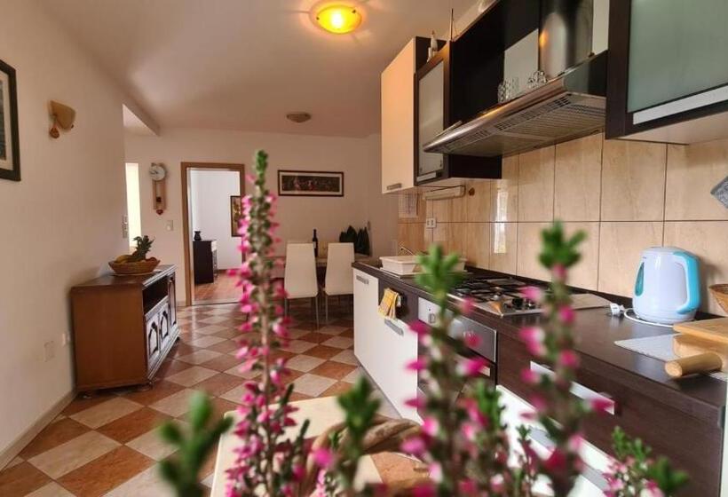 شقة غرفة نوم واحدة مزودة بشُرفة, Apartments Baškovic