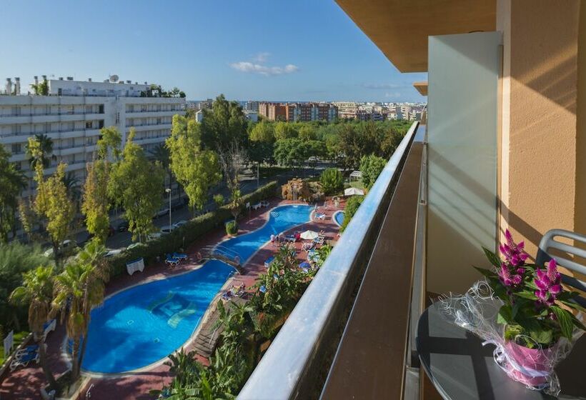 Номер Стандарт, 4r Gran Regina