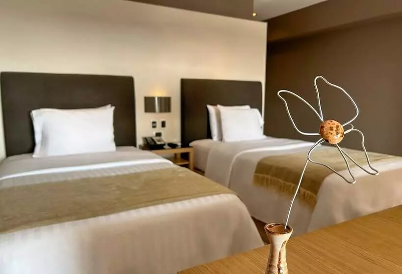 سوییت جونیور, Casa Andina Premium Golf Los Incas
