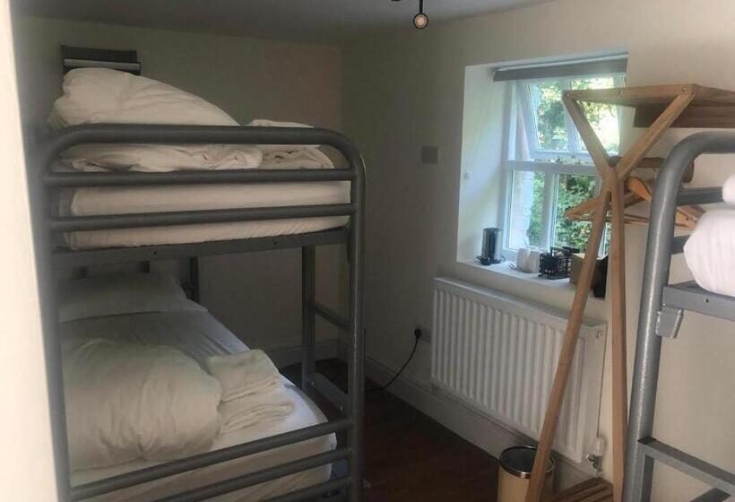 חדר סטנדרט לארבעה, Royal Oak