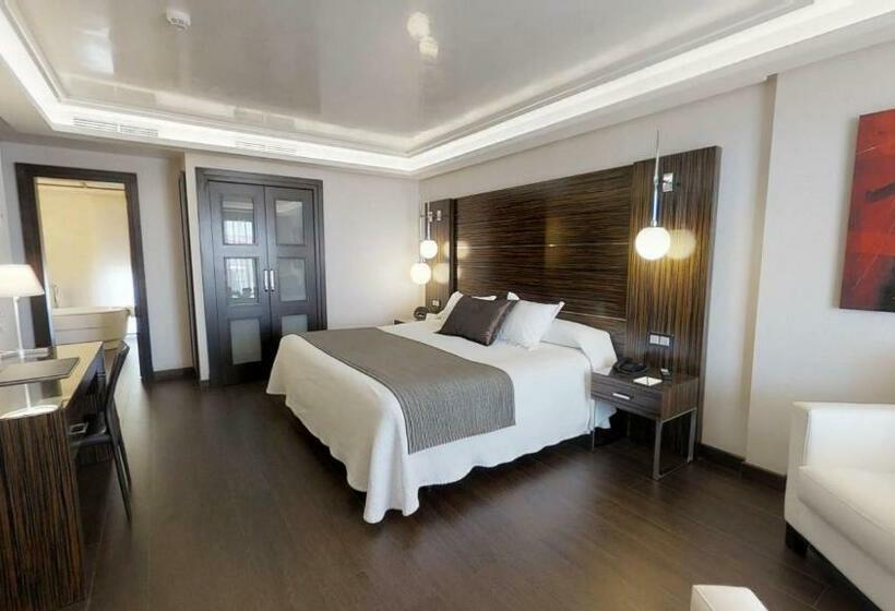 غرفة قياسية, Vincci Selección Aleysa