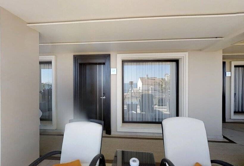 غرفة قياسية, Vincci Selección Aleysa