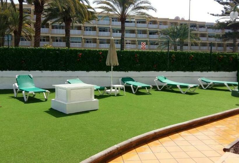 דירת חדר, Las Faluas