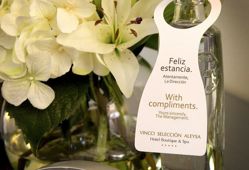 غرفة سوبيريور مطلّة علي البحر, Vincci Selección Aleysa