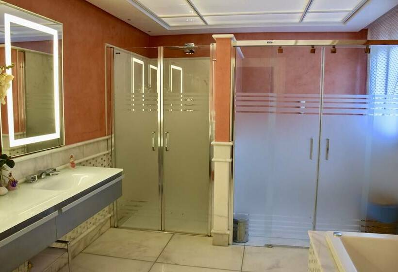 جناح رئاسى, Vincci Selección Aleysa