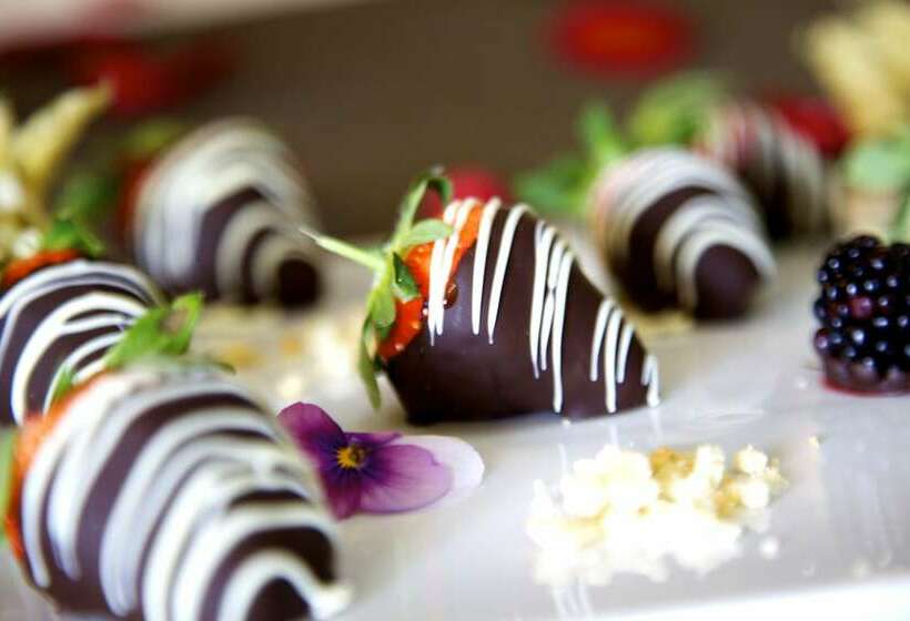 جناح دوبلكس, Vincci Selección Aleysa