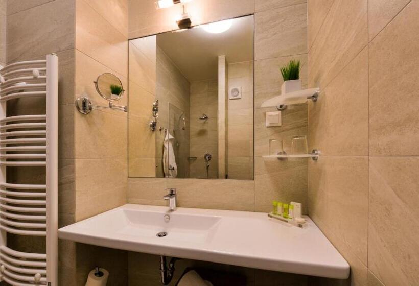 חדר סופריור עם טרסה, Grid