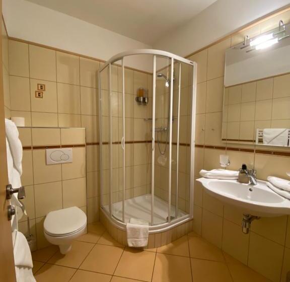 Номер Стандарт, Magistr Vsetín