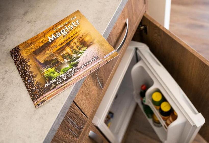 １ベッドルームのデラックスアパートメント, Magistr Vsetín