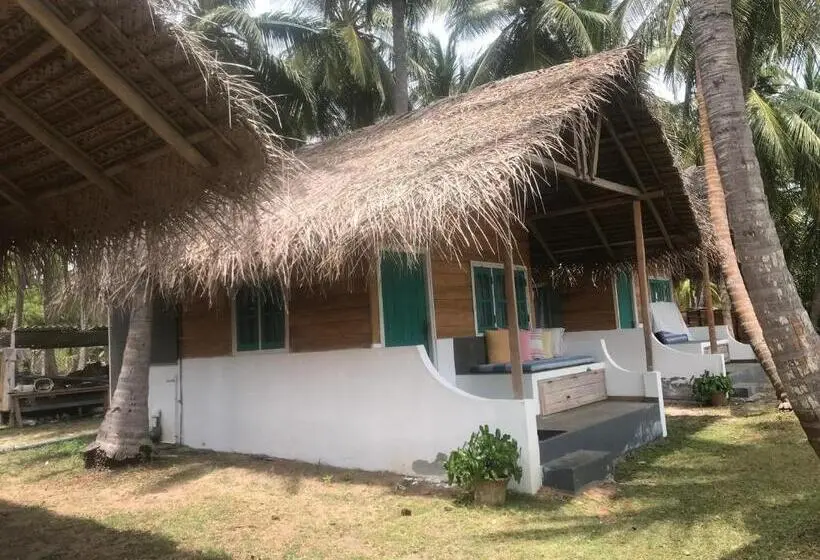 スタンダードバンガロー, Salt Bay Kite And Dive Resort