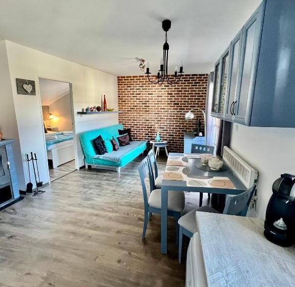 منزل غرفة نوم واحدة, Jiřičná